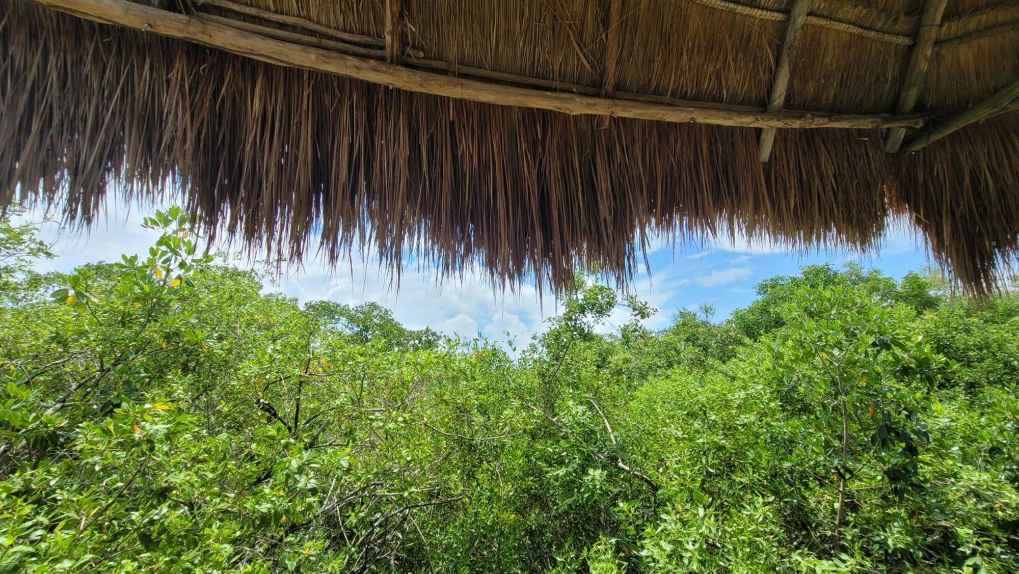 Cormoran Boutique Hotel&Private Cenote Tulum Extérieur photo